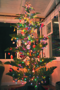 árvore-de-natal 22 lista